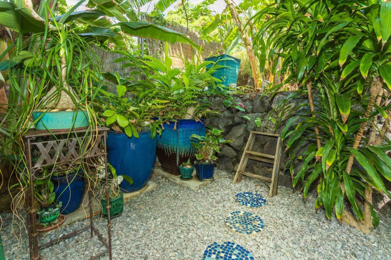 فيلا كايلو كونافي Mango Retreat المظهر الخارجي الصورة